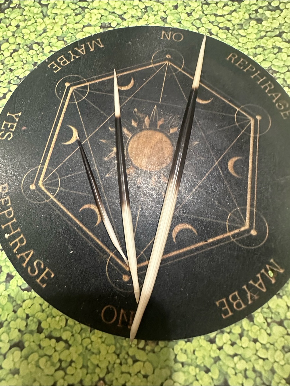 Set of 3 Natural Porcupine Quills – Mixed Sizes, Candle Scribes & Ritual Tools
